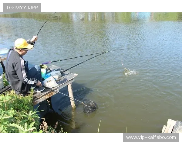 凯发体育集团网址查询方法介绍让玩家轻松找到官方入口避免钓鱼网站