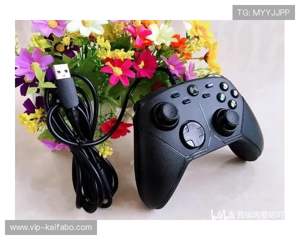 凯发网娱乐官网登录遇到问题怎么办，详细解决方案让你顺利进入游戏畅玩不停